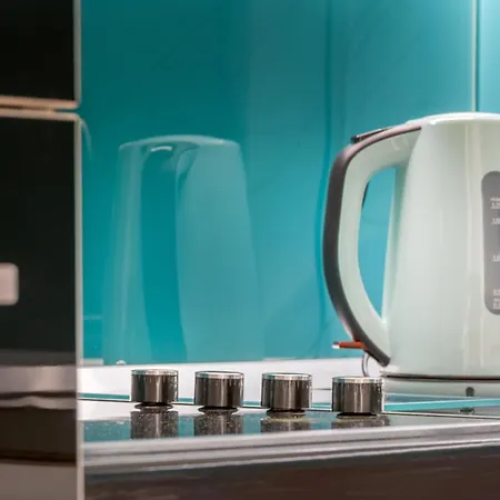 Central Mirza Apartment *