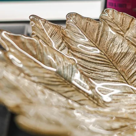 Central Mirza Apartment