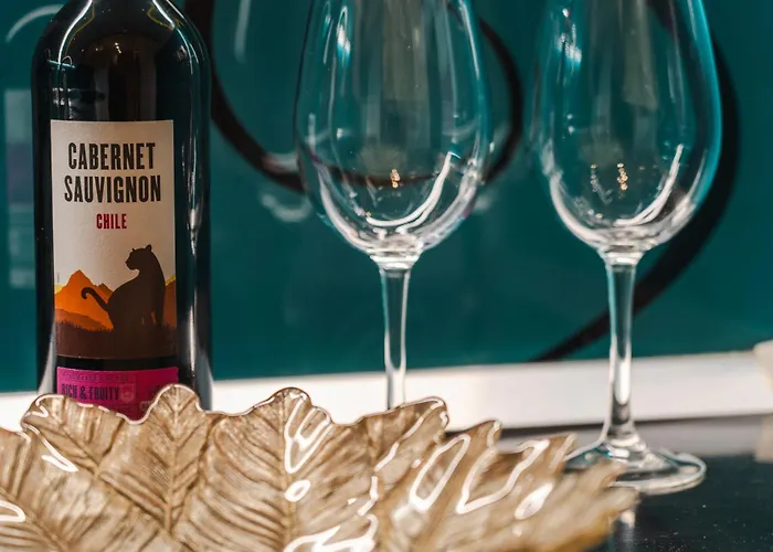 公寓 Mirza 塞拉耶佛